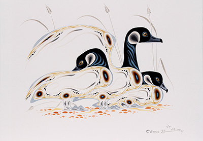 Eddy Cobiness, Resting Geese