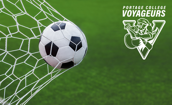 Soccer Net image