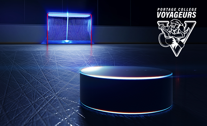 Hockey Puck & Net image
