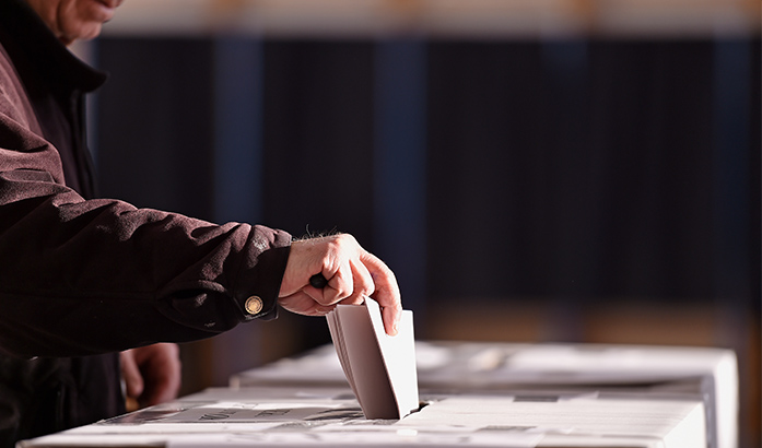 Constitutional Vote