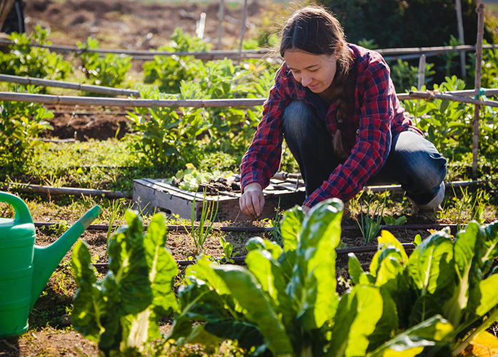 Permaculture Image